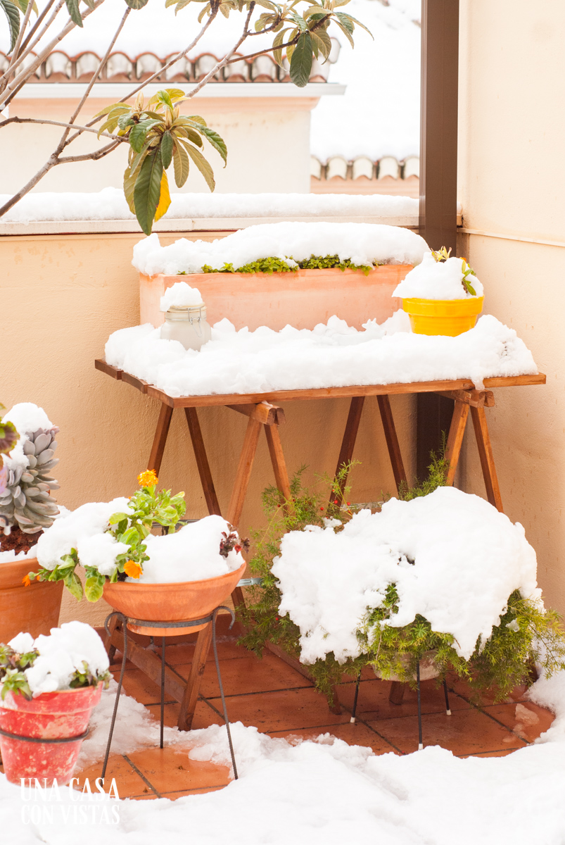 Terraza con plantas nevadas