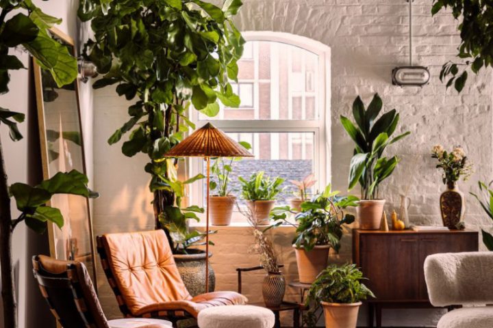 Sala de estar vintage con plantas