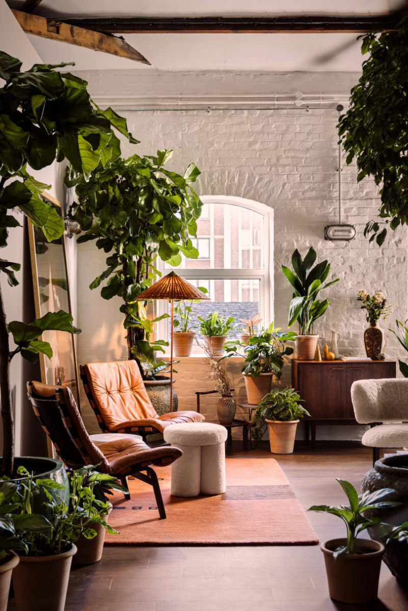 Sala de estar vintage con plantas