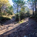 Paseo por la Sierra de la Alfaguara