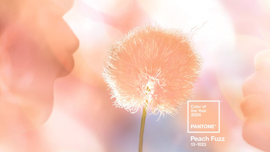 Color Pantone de 2024 Peach Fuzz